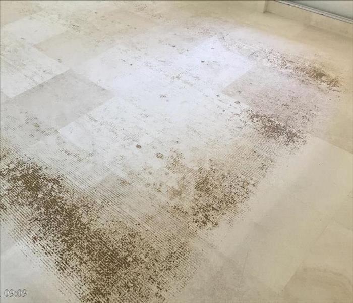 Marble flooring with residue from area rug.