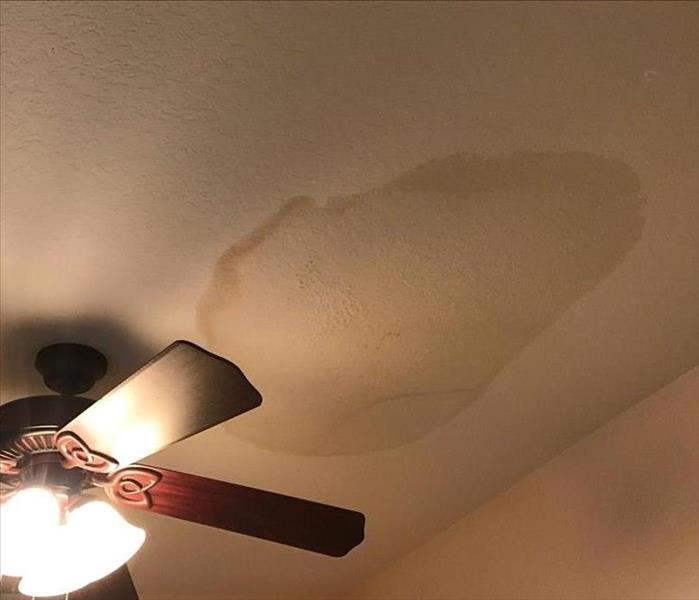 Ceiling fan with water stain on ceiling above it