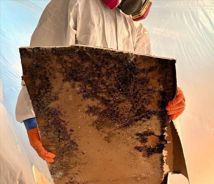 man in PPE holding moldy drywall