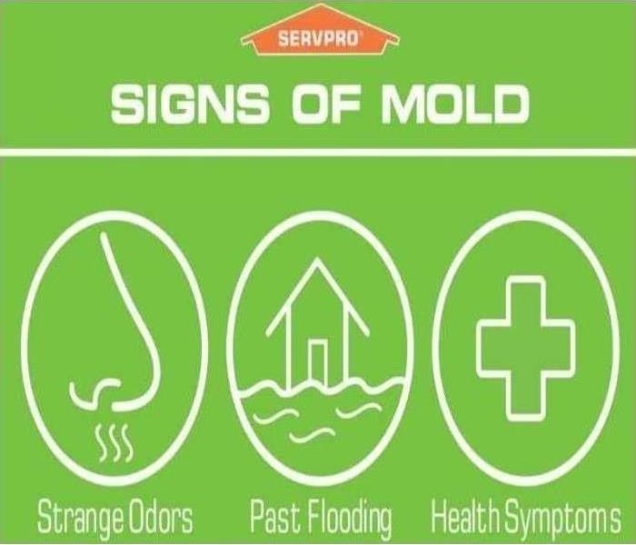 Green graphic describing three signs of mold