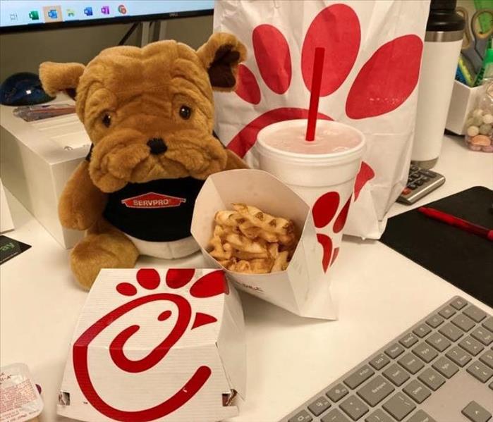 Bulldog plushie in SERVPRO shirt next to Chick-Fil-A Meal