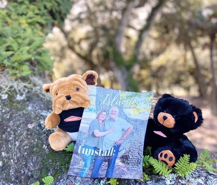 Two stuffed animals staged on a tree branch holding an Island Neighbors magazine.