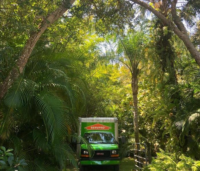 Bright green SERVPRO truck amongst the green trees and and bushes