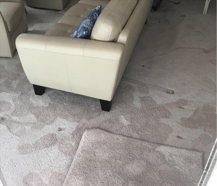 Soaked Carpet