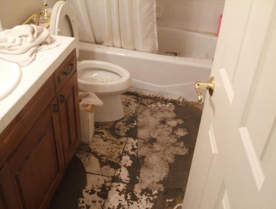 Bathroom after sewage backed up on to the floor