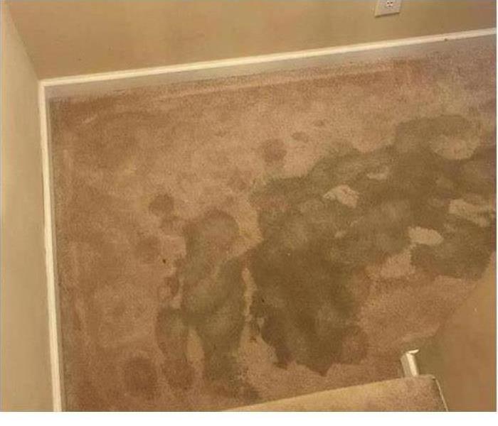 Carpet in room with water stains