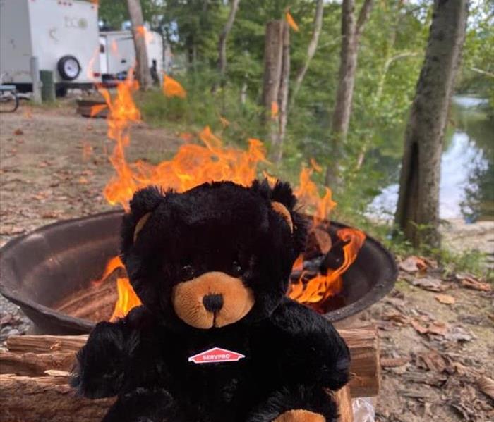 Black teddy bear sitting on a pile of wood in front of a campfire. 