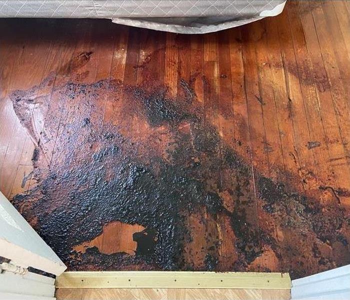 wood floor with biohazardous waste prior to clean up