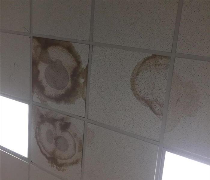 Stained ceiling tiles in commercial property
