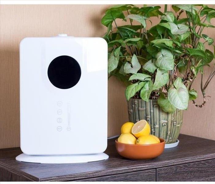 air purifier on a table with a plant and citrus