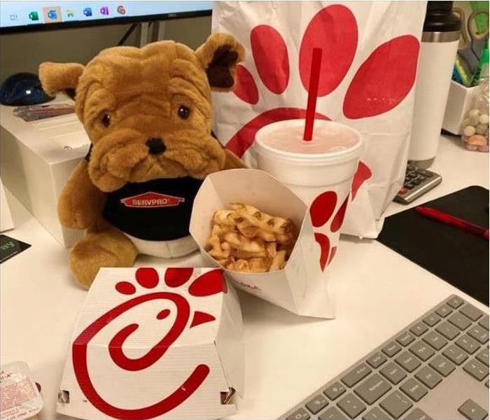 stuffed animal with food from chik fil a