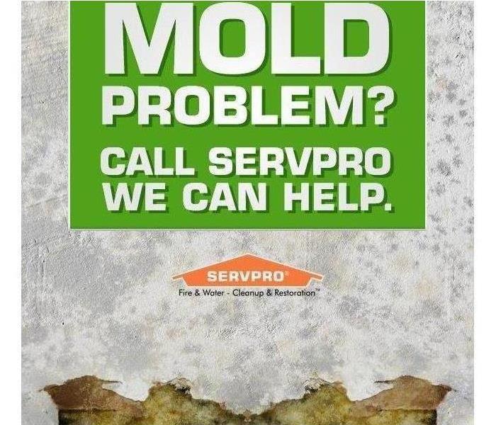 Flyer with moldy drywall as the background with the text “Mold Problem? Call Servpro we can help.” 