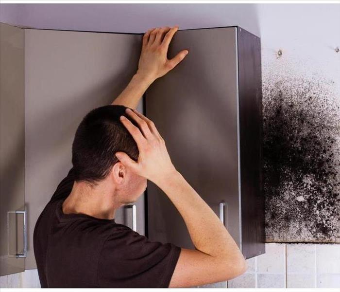 Man with his hand on his head looking in disbelief at mold he found in his kitchen. 